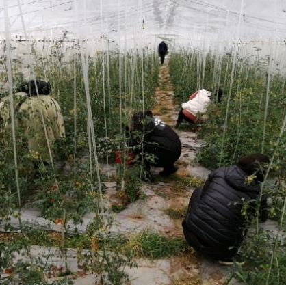 圖片關(guān)鍵詞