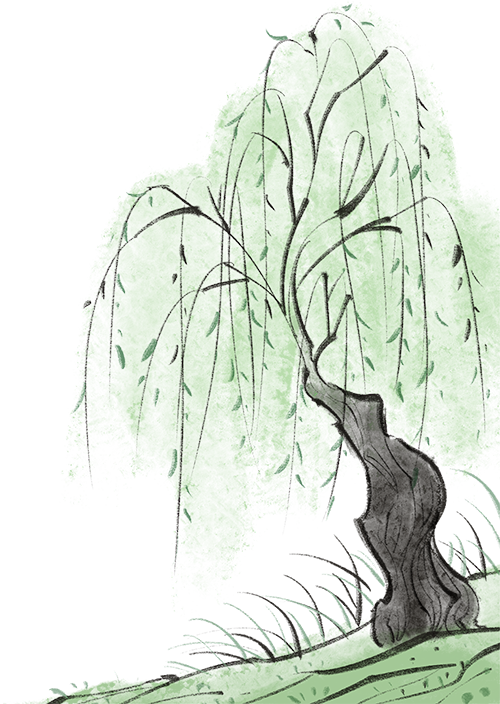 圖片關(guān)鍵詞